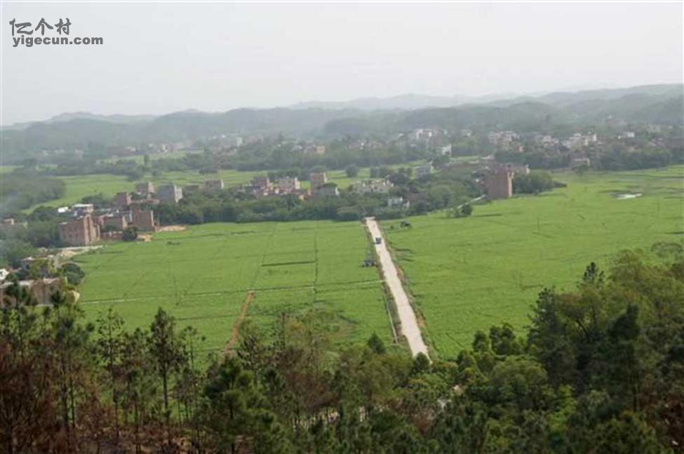 图片_广东省茂名市化州市合江镇禾堂岭村