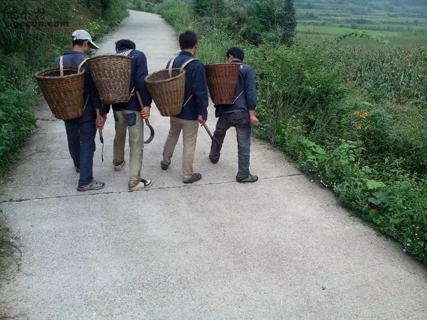 图片_湖南省湘西州永顺县松柏镇坝溶村