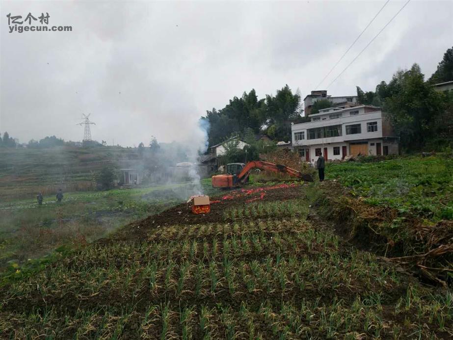 图片_贵州省毕节市七星关区小吉场镇吉兴村