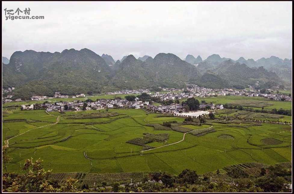 图片_广东省茂名市化州市中垌镇那洪村