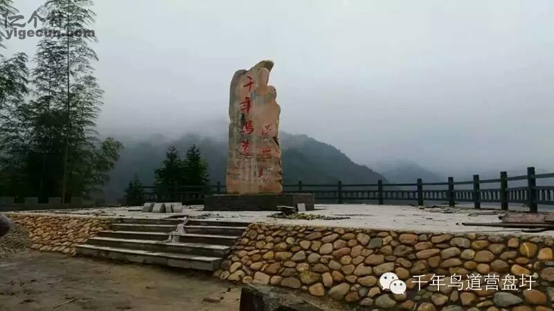 图片说明:古今中外的千年鸟道