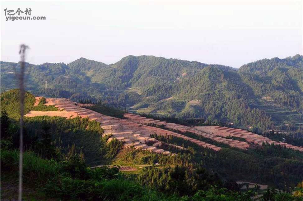 图片_湖南省张家界市桑植县上河溪乡邓家坡村