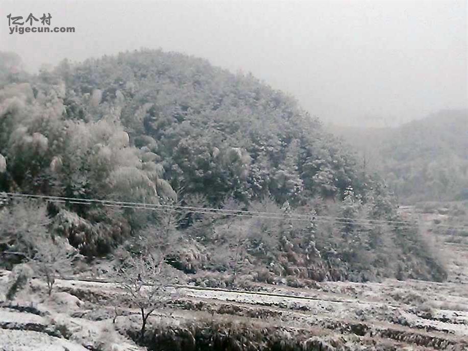 图片_湖北省黄冈市蕲春县檀林镇曹冲村