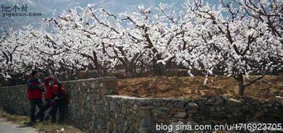 图片_山东省临沂市费县大田庄乡黄土庄村