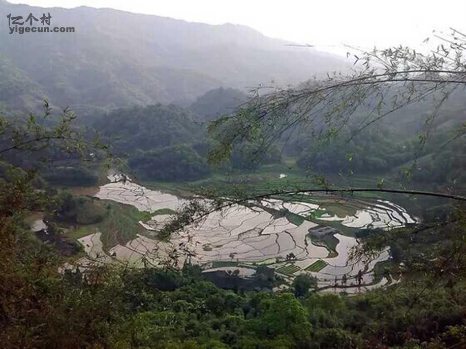 图片_四川省泸州市合江县九支镇盘龙山村