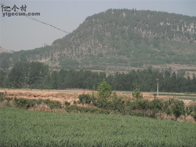 图片_山东省泰安市岱岳区夏张镇南白楼一村