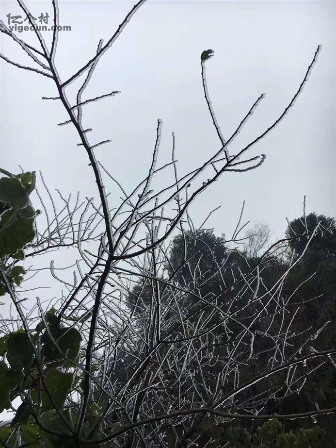 赫章县图片