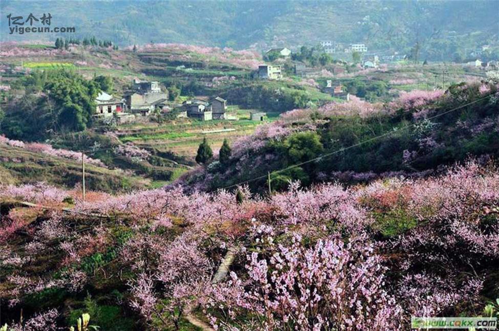 图片_重庆市开县郭家镇毛成村