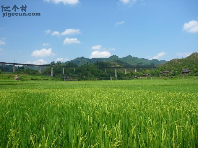 图片_贵州省黔东南州凯里市万潮镇马田村