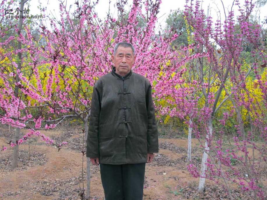 图片_山东省泰安市岱岳区良庄镇西良庄村