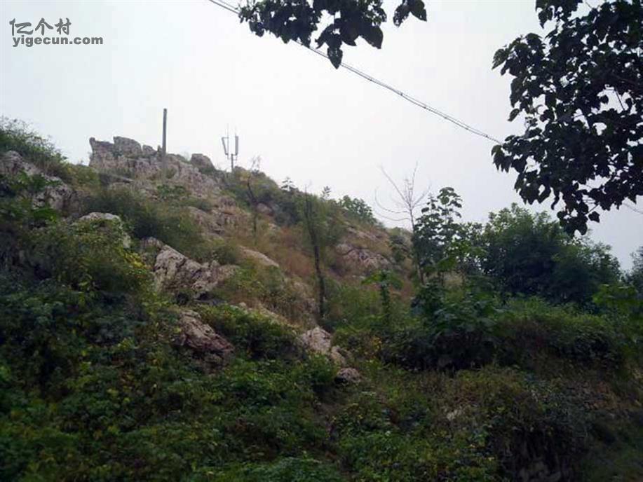 图片_山东省烟台市莱阳市姜疃镇凤头村