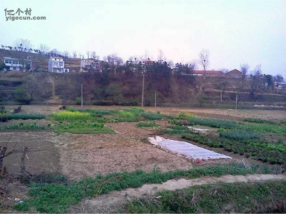 大悟县图片