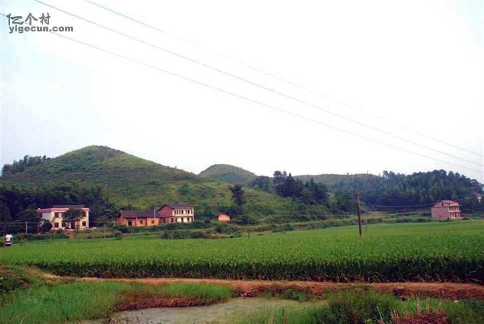 图片_湖南省衡阳市衡阳县石市镇南阳村