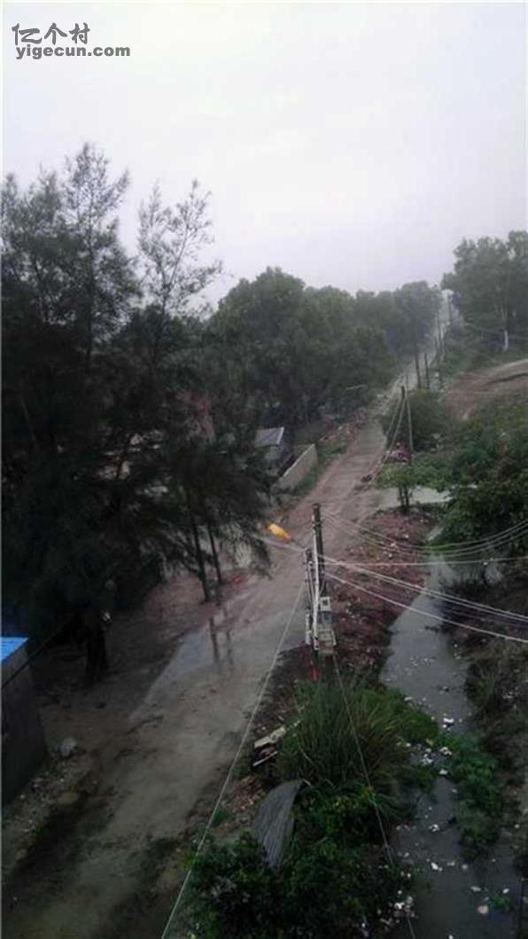 图片_广东省汕尾市陆丰市东海街道崎砂村