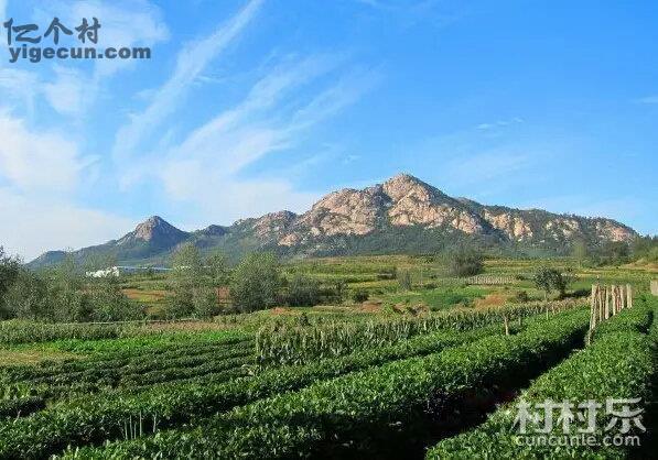 山东省日照市岚山区巨峰镇前山北头村图片