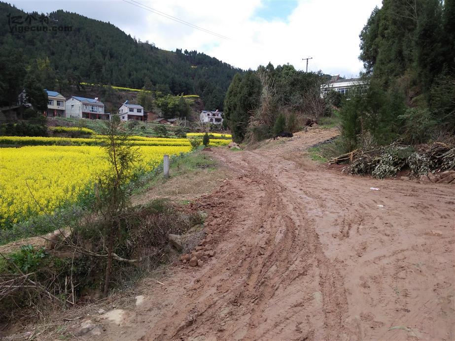 图片说明:四川省,三台县,塔山镇,忠孝乡,建兴村,高家湾泥泞的道路.