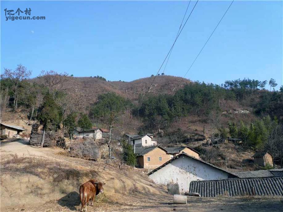 图片_湖北省黄冈市麻城市三河口镇前畈村