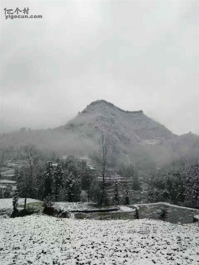 重庆市彭水县鞍子镇金山村图片