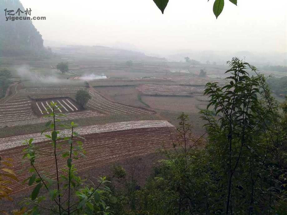 图片_广西崇左市扶绥县渠旧镇布沙村