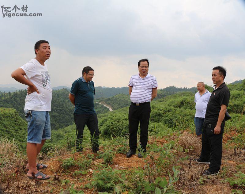 图片_贵州省黔东南州镇远县羊场镇岩脚村