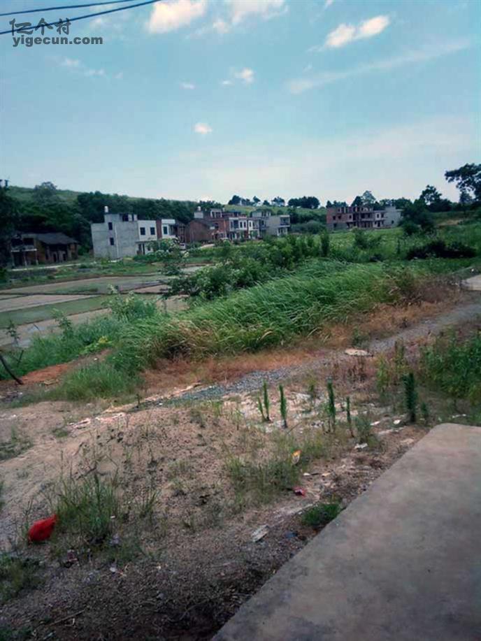 图片_湖南省衡阳市耒阳市南京乡龙凤村