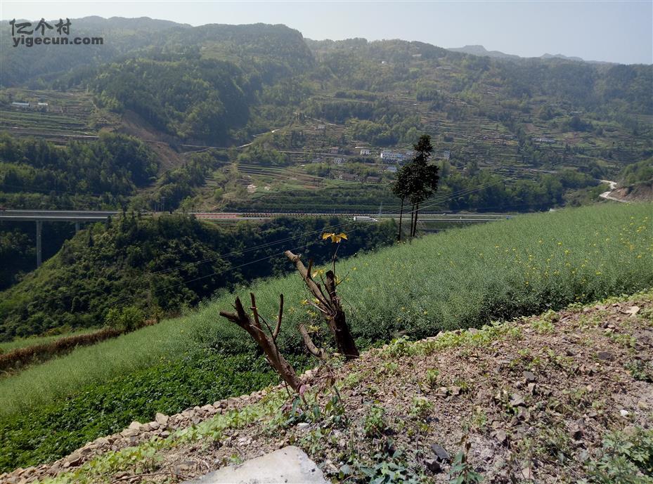 图片_湖北省宜昌市兴山县高桥乡双堰村