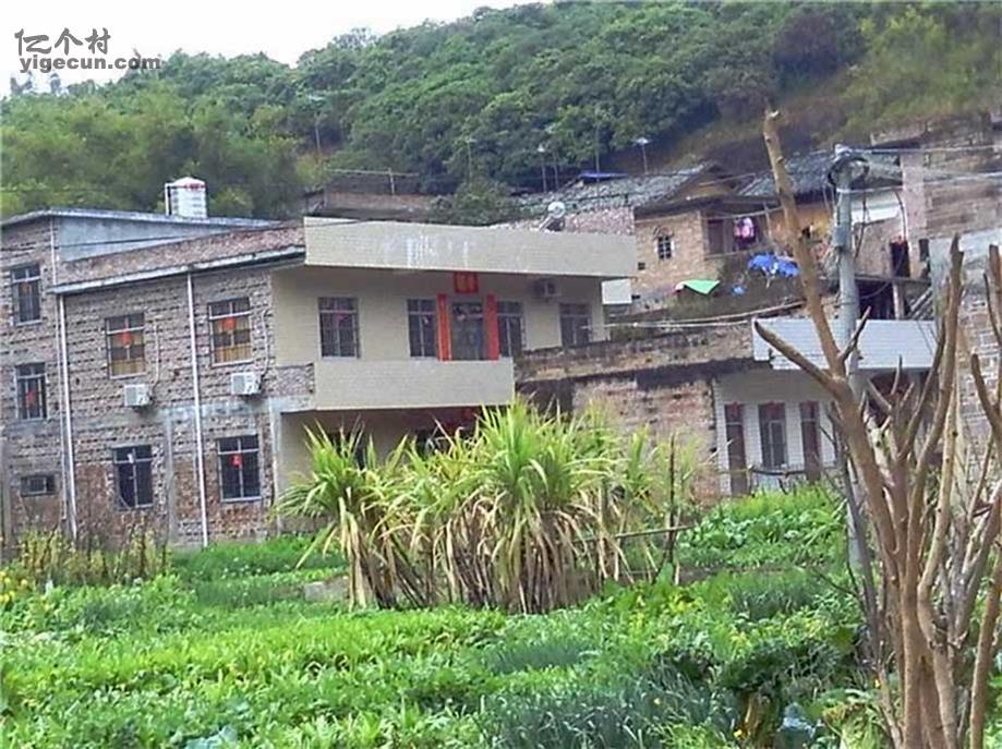 图片_广西玉林市北流市大坡外镇大坡外村