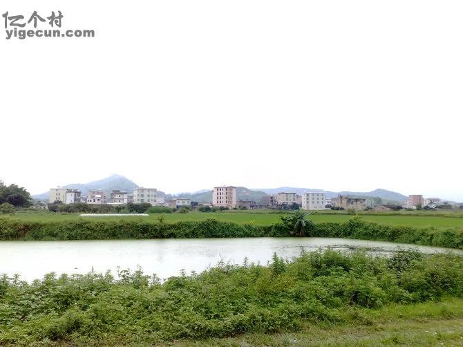 广东省揭阳市普宁市梅塘镇安仁村图片