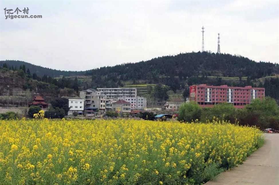 图片_四川省绵阳市盐亭县麻秧乡天水村