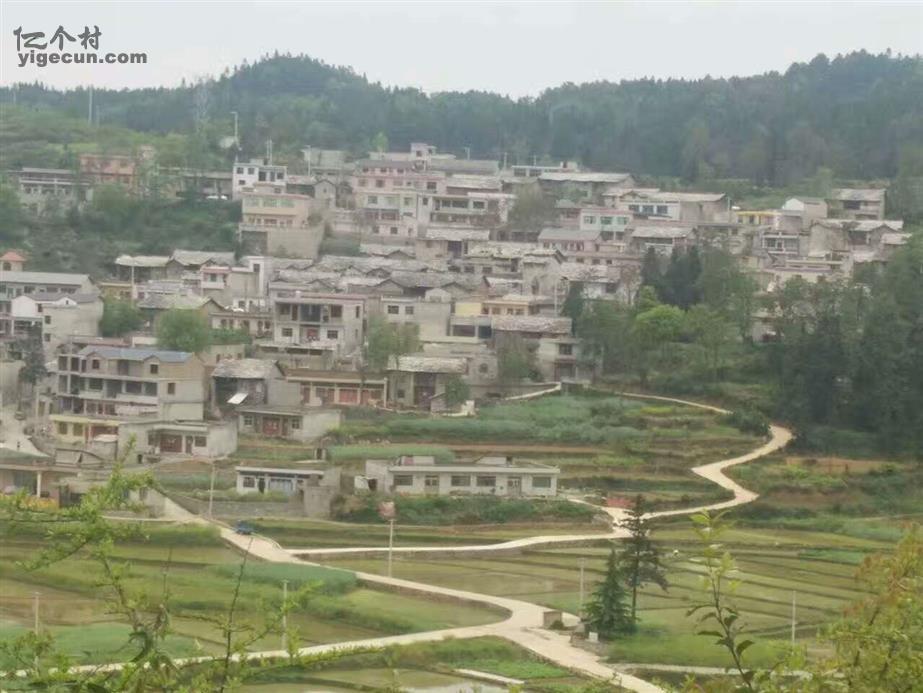 图片_贵州省安顺市西秀区蔡官镇龙天村