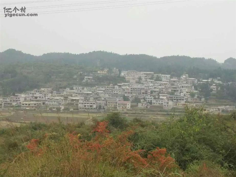 贵州省安顺市西秀区蔡官镇龙天村图片