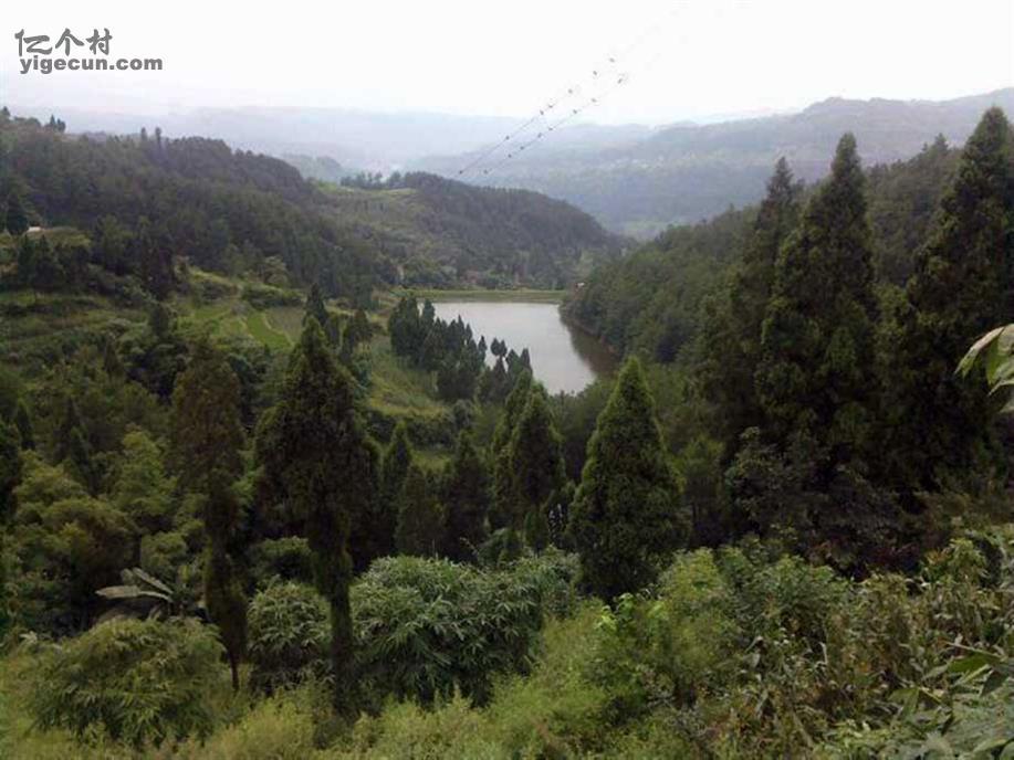 图片_重庆市綦江区赶水镇藻渡村