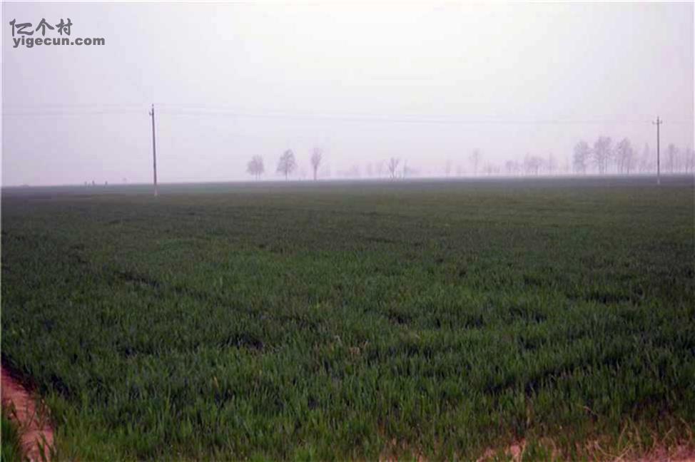 图片_河南省安阳市滑县半坡店乡后营村