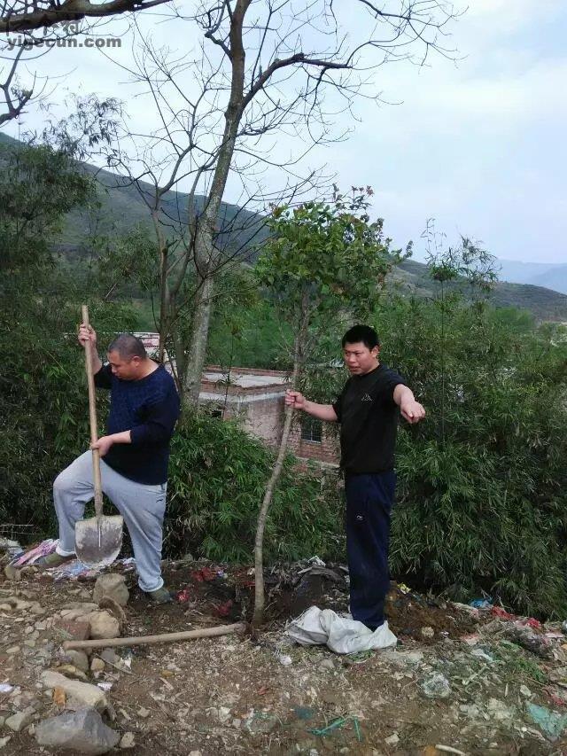 图片_广西贺州市八步区桂岭镇新花村