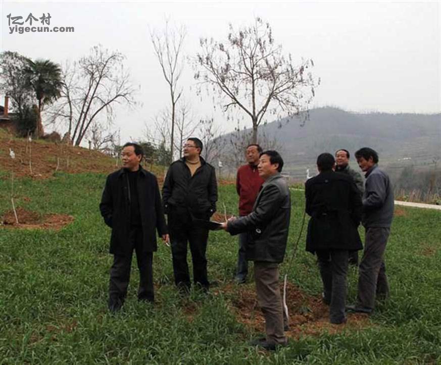 图片_陕西省安康市汉滨区石梯镇九条沟村