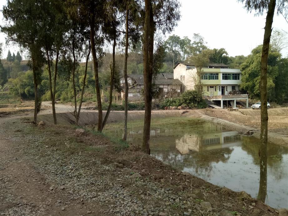 图片_四川省广安市岳池县顾县镇姜家庙村