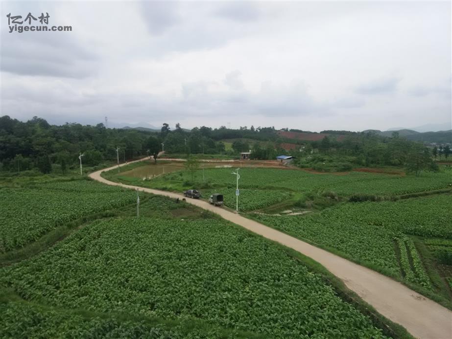 图片_湖南省郴州市宜章县迎春镇鹧鸪坪村