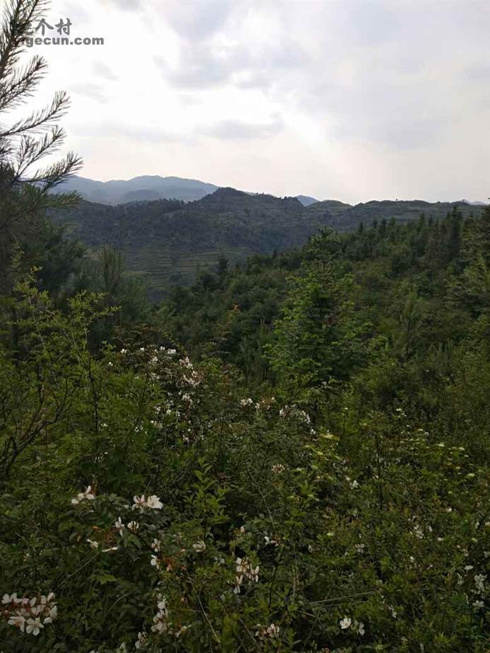 图片_云南省曲靖市宣威市海岱镇岩上村