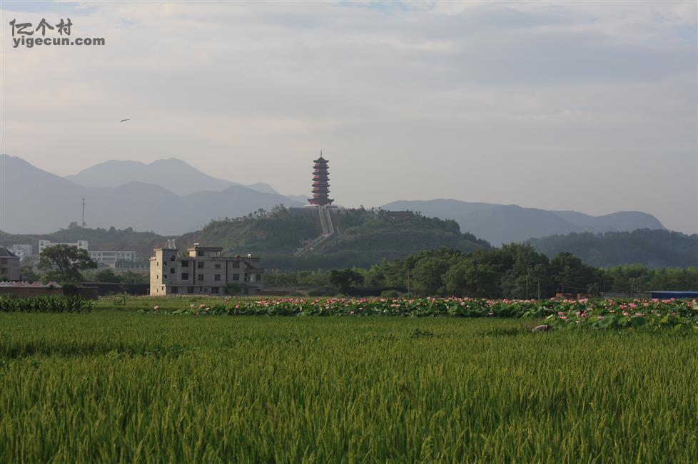 图片_江西省吉安市遂川县泉江镇新林村