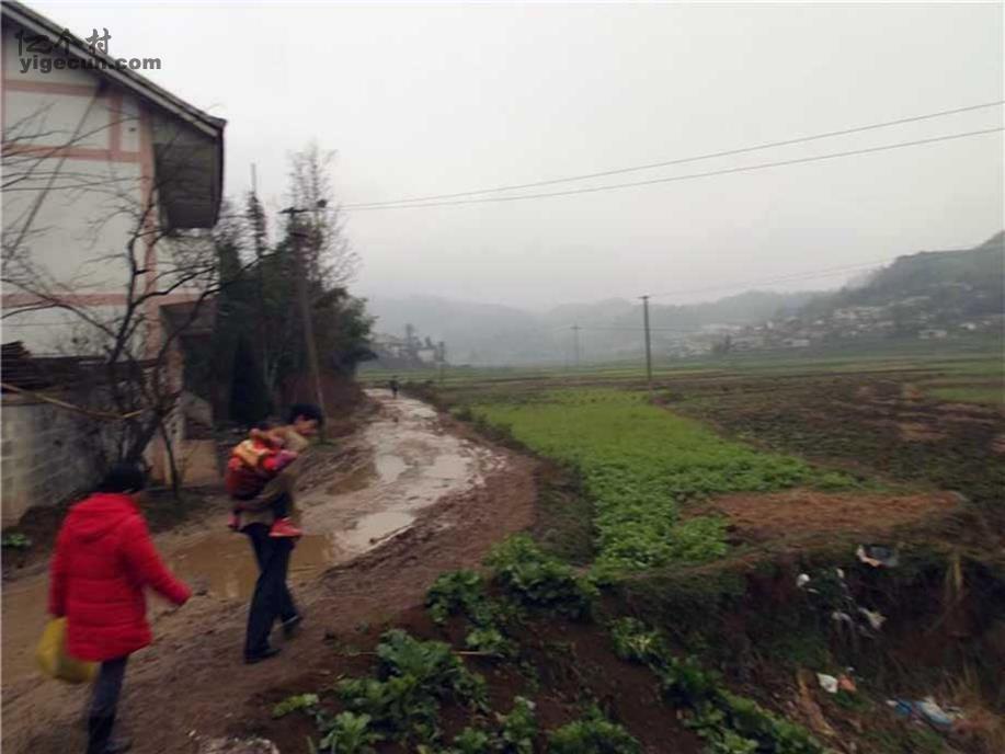 图片_贵州省毕节市黔西县雨朵镇小水井村