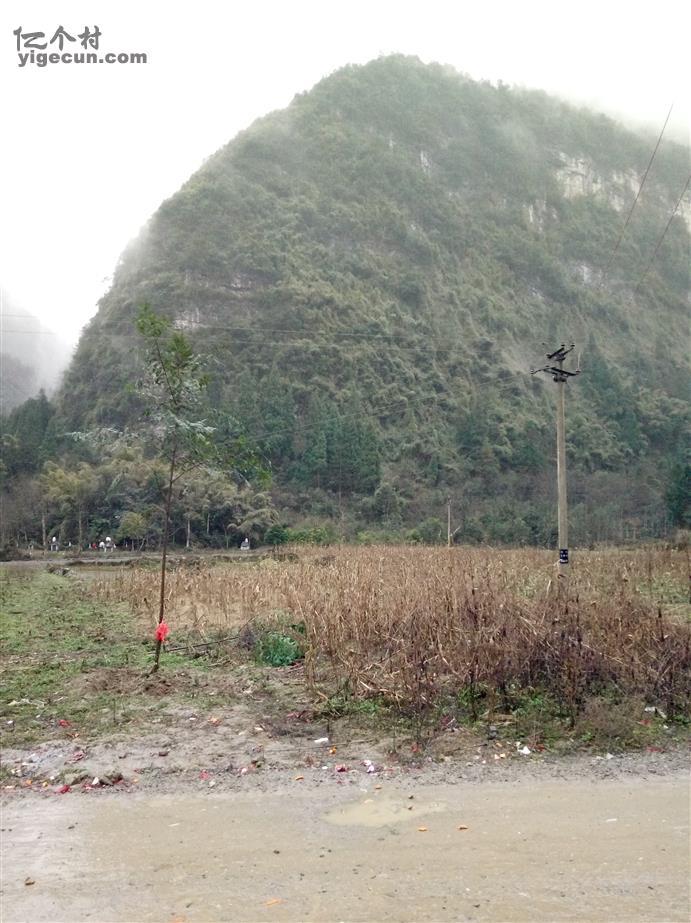 图片_重庆市彭水县龙射镇沿河村