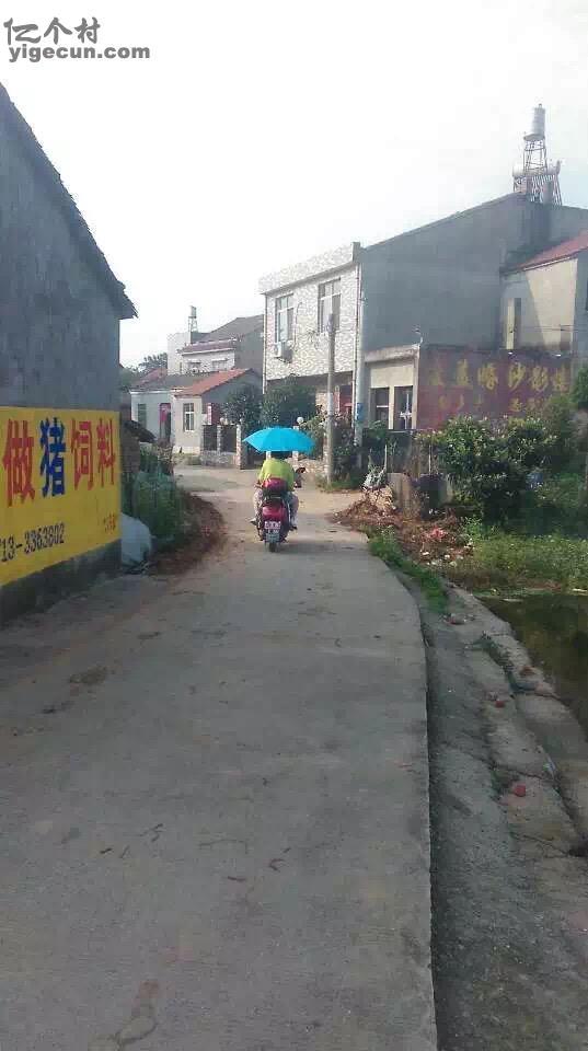 图片_湖北省黄冈市黄梅县大河镇余苏村