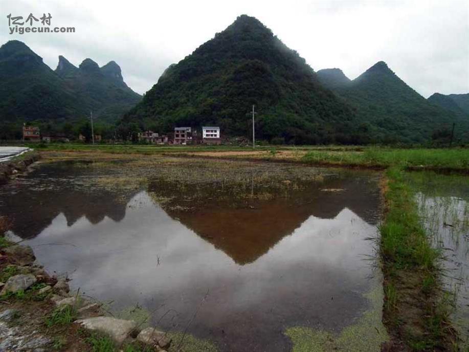 图片_广西柳州市融安县桥板乡阳山村