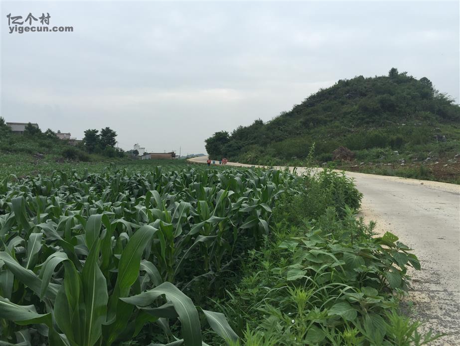 图片_贵州省安顺市平坝县十字乡龙昌村