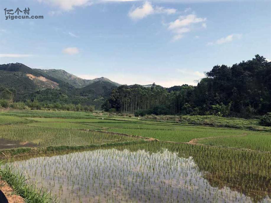 图片_广西南宁市宾阳县思陇镇马岭村