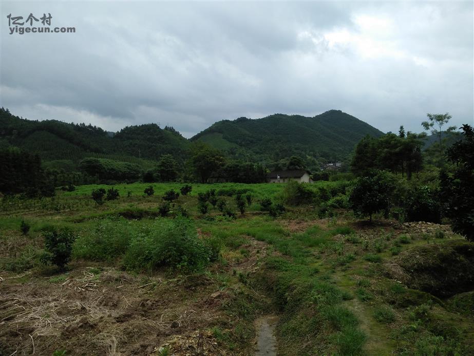 图片_江西省赣州市大余县吉村镇吉村