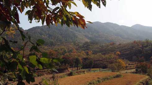 图片_湖北省黄冈市罗田县三里畈镇江家边村