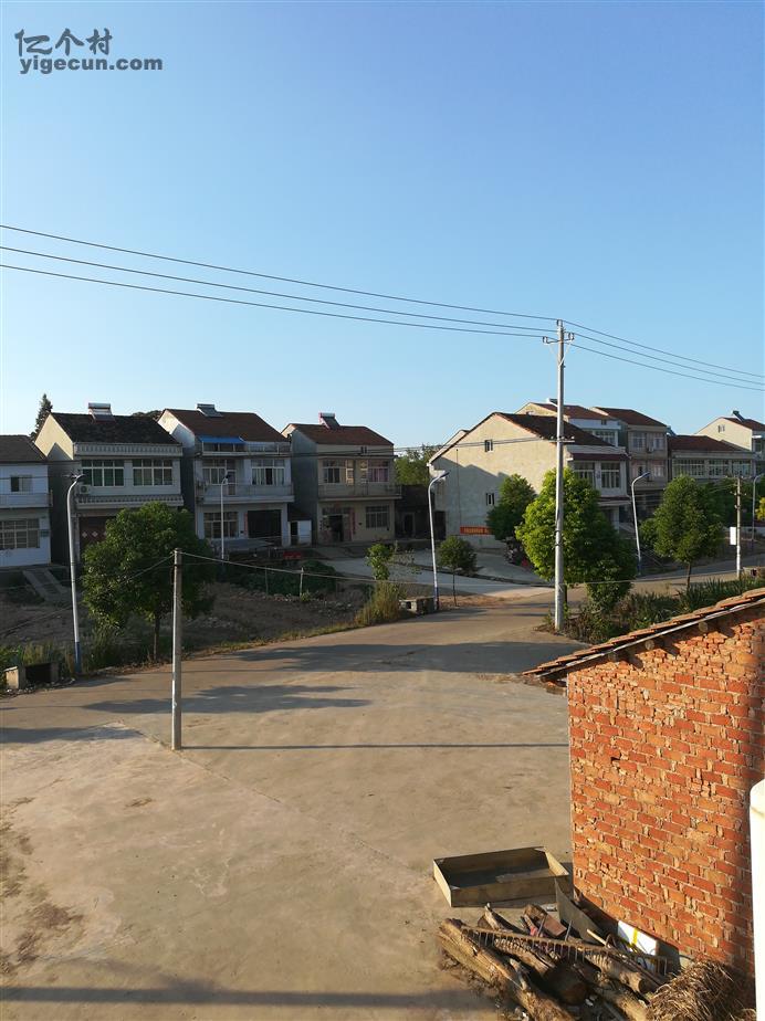 图片_湖北省荆州市洪湖市新滩镇沟南村