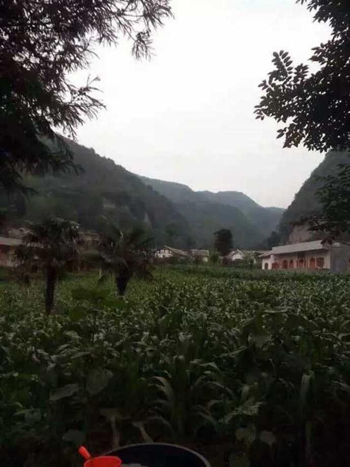 贵州省毕节市赫章县六曲河镇乌鸦村图片