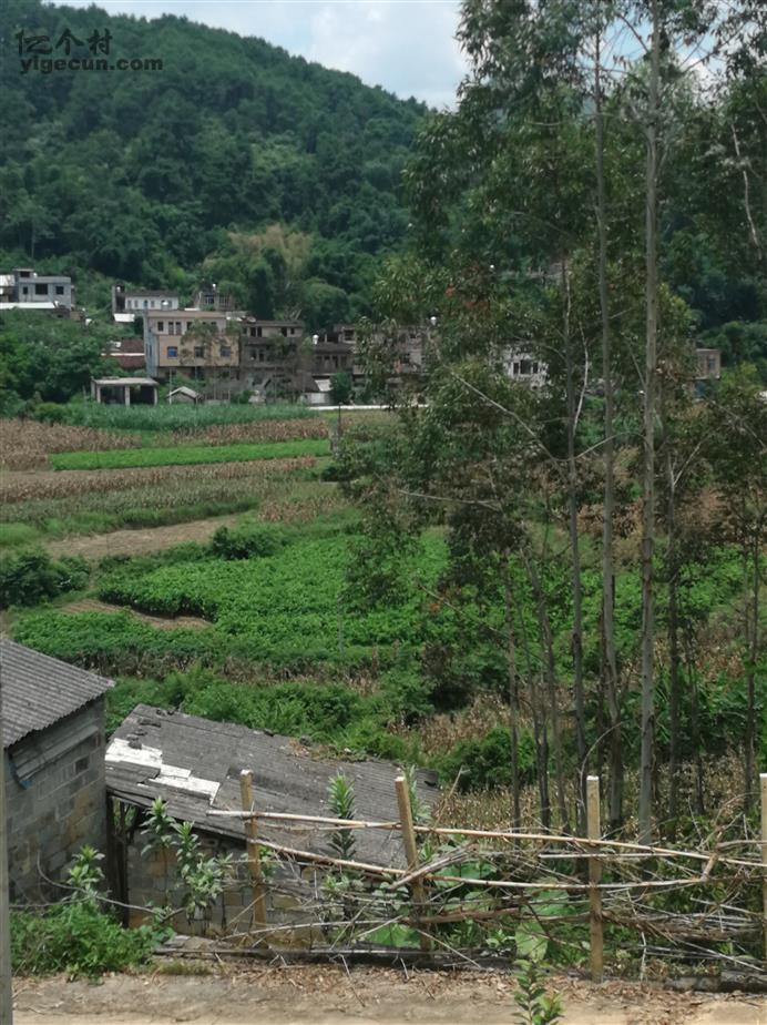 广西百色市平果县四塘镇福坦村图片